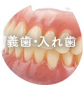 義歯・入れ歯